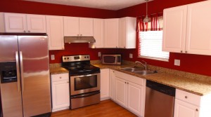 Remodeled Dublin Condo For Rent